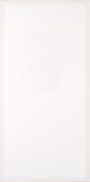 Slim LED Panel Light 2x4 - 347v