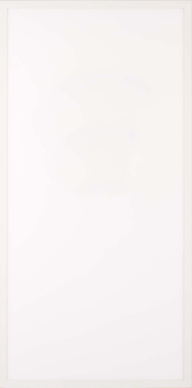 Slim LED Panel Light 2x4 - 347v